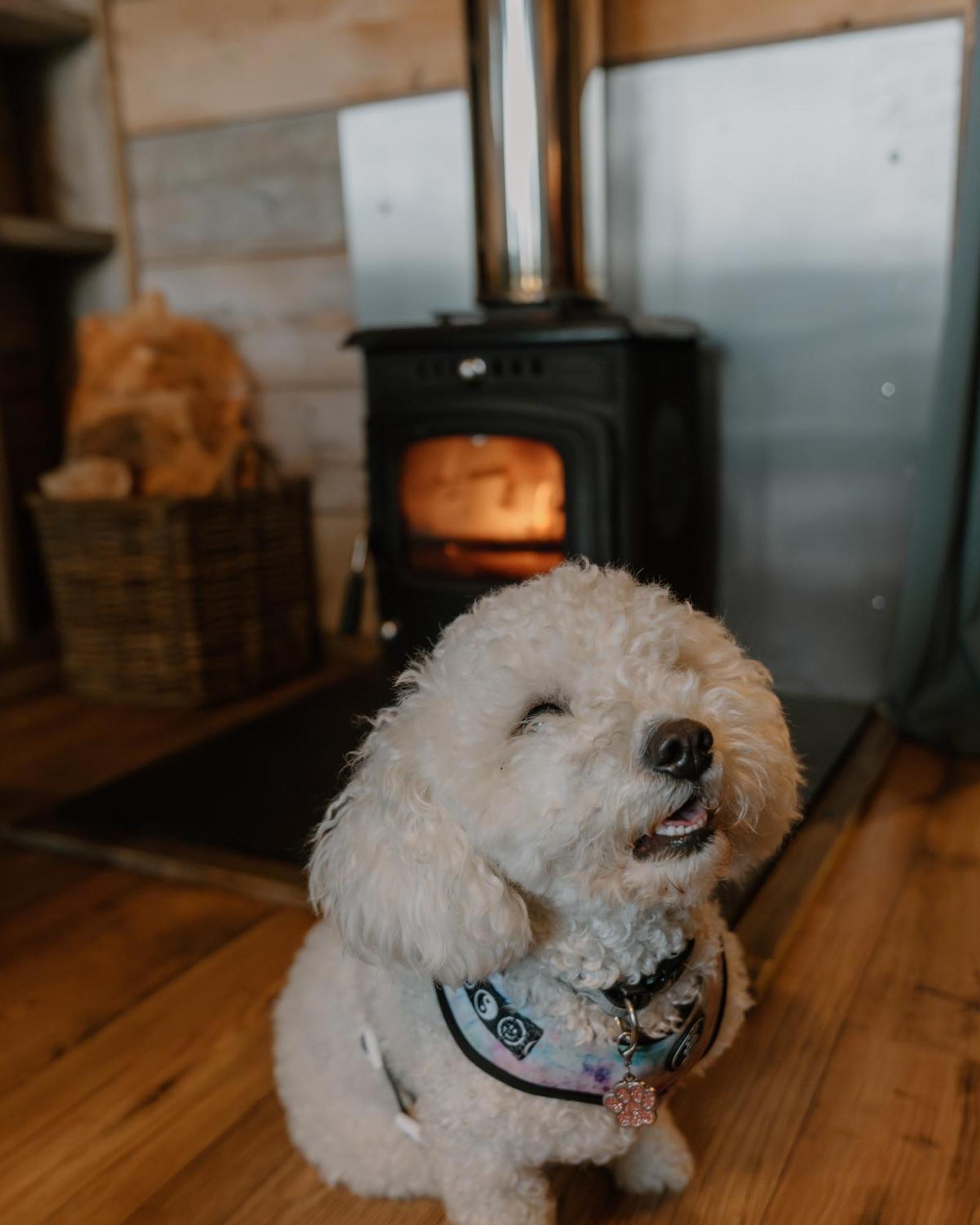 Llechwedd Glamping Hotel Blaenau Ffestiniog Eksteriør billede